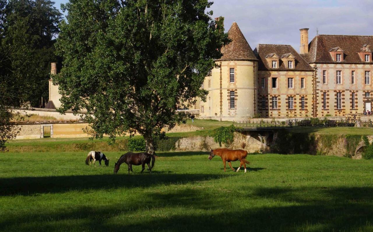 Bed and Breakfast Chateau De La Riviere Pontgouin Экстерьер фото